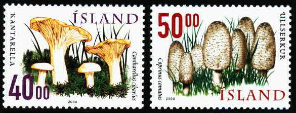 List of Icelandic mushrooms